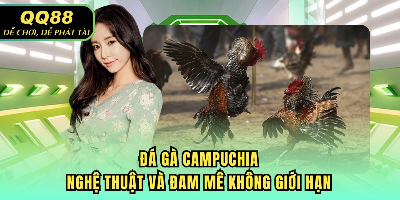 Đá Gà Campuchia - Nghệ Thuật Và Đam Mê Không Giới Hạn